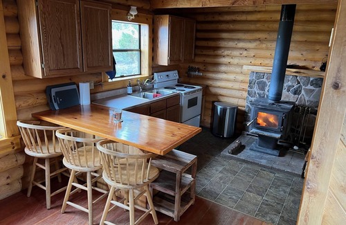 Alturas Cabin | Unforgettable Mountain Cabin Getaway at The Cranky Canard