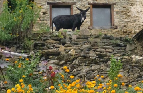Bonac-Irazein Cottage | Top-Rated Mountain Cottage ARIÈGE with Family-Friendly Perks