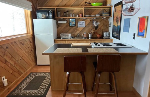 Nederland Cottage | Cozy Mountain Cottage Getaway in Nederland - 10/10 Rating