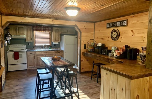 Ironto Cabin | Discover Mountain Creek Lodge: Pet-Friendly with Spa Access