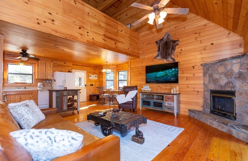 Blairsville Cabin | Unwind at Mountain Forest Cabin with Spa & Game Room