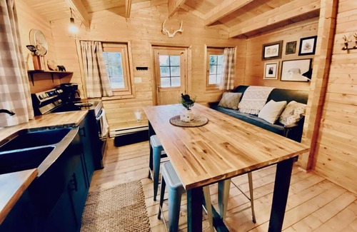 Fraser Valley Regional District Cabin | Mountain Getaway with Pond View and Fire Pit in Sunshine Valley. Pet friendly!