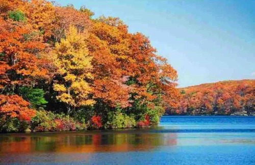 East Jewett Apartment | Inviting Mountain Retreat with Pool Near Hunter & Windham
