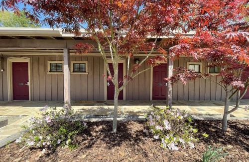 Mount Ida Hotel | Premier Mountain Harbor King Room with Lake Views & Amenities