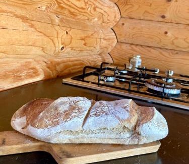 Cabeceiras de Basto Ski Chalet | Cozy Mountain Log Cabin with Pool and Pet-Friendly Perks