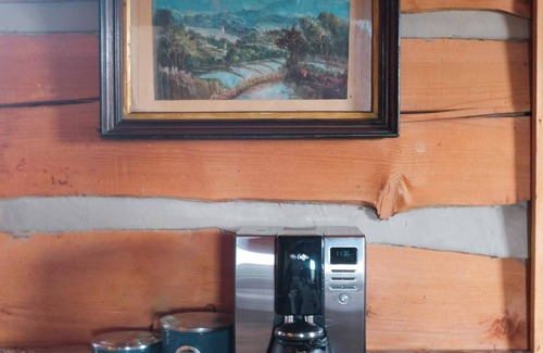 Vesta House | Exceptional High Country Log Cabin with Hiking & Gas Logs