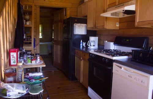 Dryden Cabin | Pet-Friendly Queen Log Cabin with Spa and Hot Tub