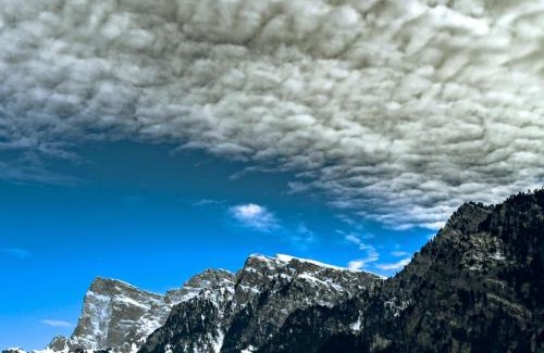 Konitsa Apartment | Pet-Friendly Mountain Serenity with 9.8/10 Guest Rating