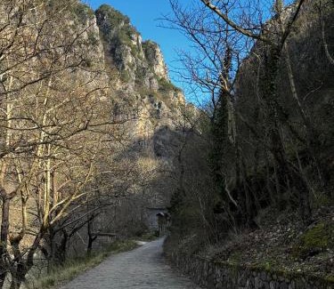 Konitsa Apartment | Pet-Friendly Mountain Serenity with 9.8/10 Guest Rating