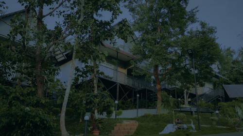 Vayittiri Bed & Breakfast | Experience Mountain Vibes Resort Wayanad - Rated 10/10!