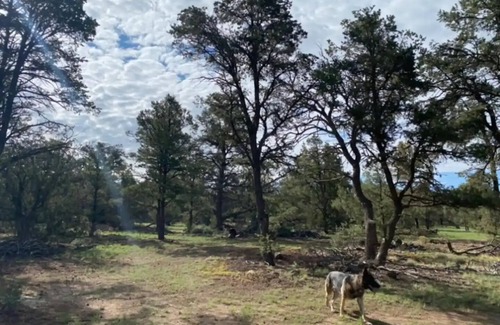 Quemado RV Rental | Explore Mountain-View Adventure: Family-Friendly Retreat