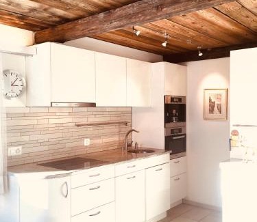 Andermatt Apartment | Scenic Mountain View Hotel with Pet-Friendly Amenities