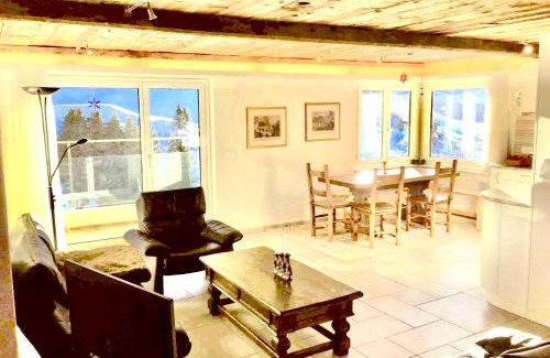 Andermatt Apartment | Scenic Mountain View Hotel with Pet-Friendly Amenities