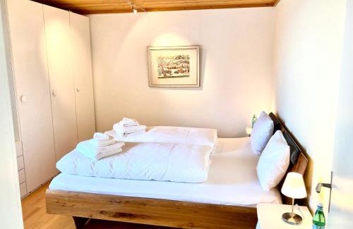 Andermatt Apartment | Scenic Mountain View Hotel with Pet-Friendly Amenities