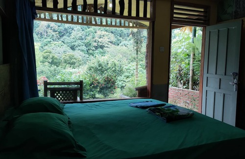 Batang Serangan House | Guest Rated: Mountain View Cottages & Villa Tangkahan