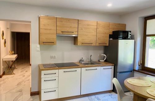Jedlina-Zdroj House | Exceptional Mountain View Guest Rooms for Family Getaways