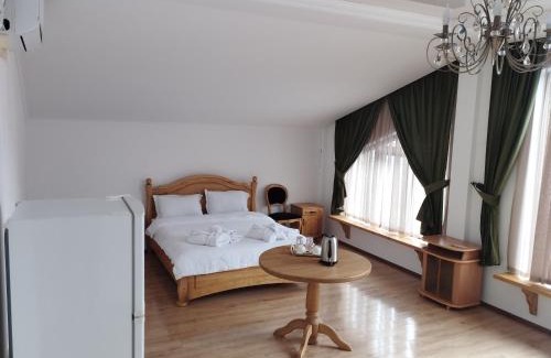 Chuy Province Hotel | Relax at Mountain View Hot Spring Resort with Pet-Friendly Amenities