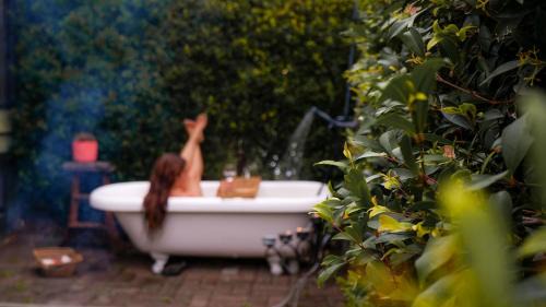 Tilba Tilba Apartment | Pet-Friendly Retreat at Mountain View Tilba Tilba