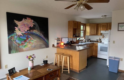 Leadsville Apartment | Mountain View: Exceptional Stay with Pet-Friendly Amenities