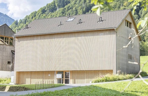 Mellau Apartment | Mountain view - Waterfall Apartments