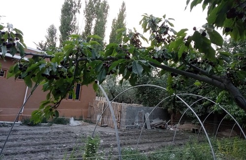 Skardu House | Scenic Mountain Retreat with Garden & Pet-Friendly Amenities