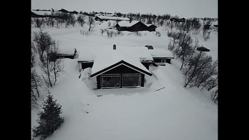 Nore og Uvdal Villa | Mountain villa with amazing view of Hardangervidda!