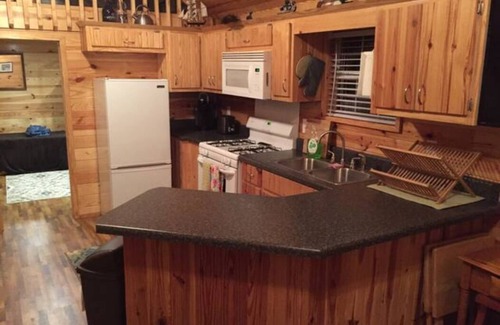 Tamworth Cabin | Pet-Friendly Mountainside Cabin with Breathtaking Views