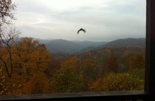 Blowing Rock Cottage | Scenic Mountainside Cottage: 9.8 Rated, Ideal for Families!