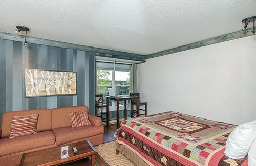 Telluride Hotel | Experience Comfort at Mountainside Inn 116 Hotel Room