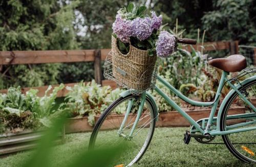 Canungra House | Experience Mountview Alpaca Farmhouse: Family-Friendly Escape