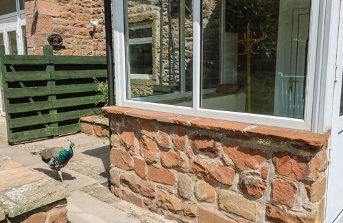 Carlisle House | Idyllic Mousehole Cottage: Guest Rated 9/10, Pet Friendly Retreat