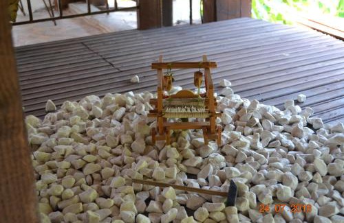 Elafina House | Pet-Friendly Mouson Melathron with Top Guest Ratings