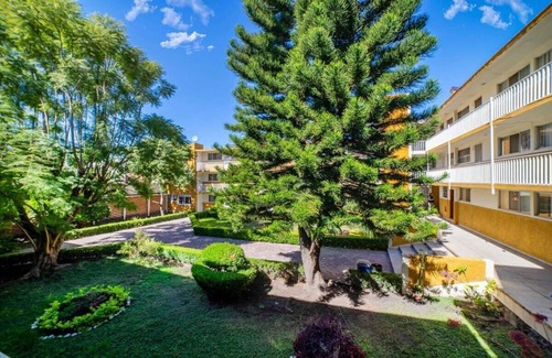 Downtown Queretaro Apartment | +MS +Suite Confortable Ubicación +Zaragoza