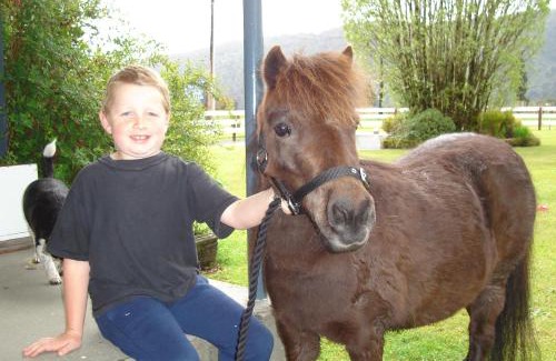 Fox Glacier Hotel | Scenic Mt Cook View Motel with Breakfast & Family Amenities