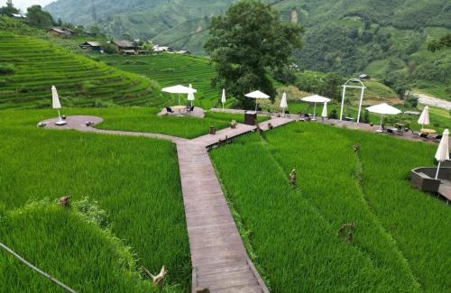 Hau Thao House | Delightful MT House Sa Pa: Pet-Friendly with Ocean Views