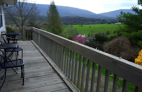 New Market House | Scenic Mountain Retreat with Pet-Friendly Amenities