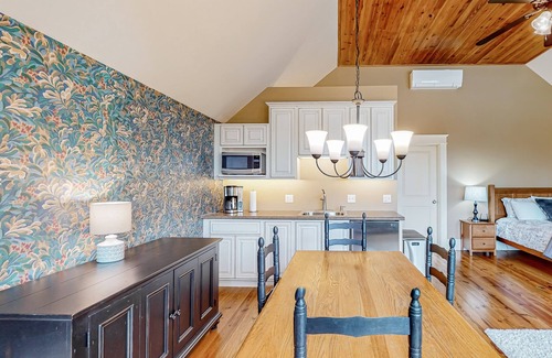 Camden Apartment | Cozy Mountain-View Studio with Firepit and Fast WiFi