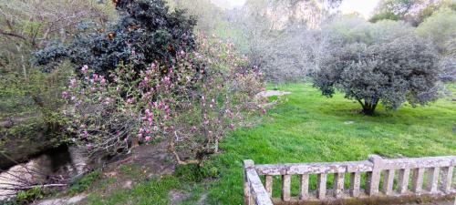 Gondomar Apartment | Exceptional Muíños do Bravo: Family-Friendly Retreat