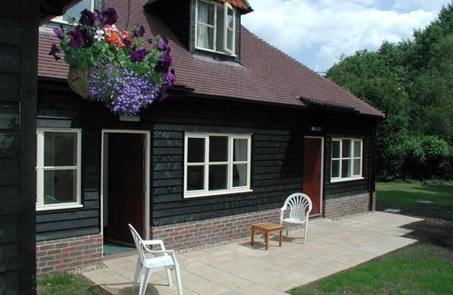 Alfold Hotel | Discover Mucky Duck Inn: 4-Star Stay with Pet-Friendly Perks