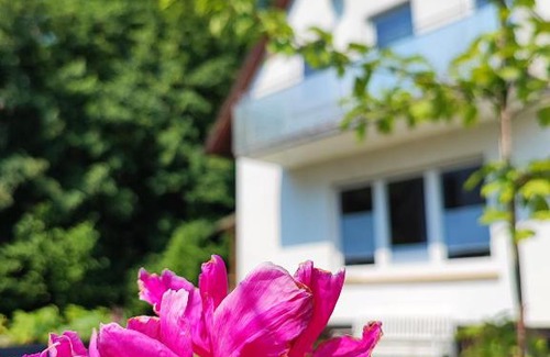 Ottersweier House | Guest Rated 9.7/10 at Muhrbach - Family-Friendly Retreat