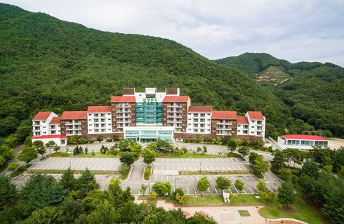 Muju House | Relax at Muju Ilsung Condo: Family-Friendly with Pool Access