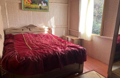 Mukhuri House | Pet and Child Friendly Stay at Nikotolo Guesthouse
