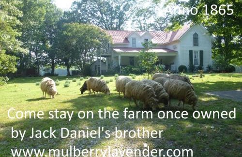 Mulberry Bed & Breakfast | Charming Mulberry Lavender Farm B&B with Family Amenities