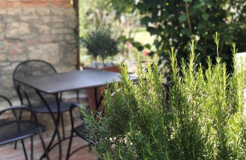 Ponte di Gabbiano Apartment | Pet-Friendly Mulino in Chianti: Ocean View Paradise