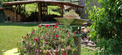 San Giustino Apartment | Discover Mulino Medievale dei Renzetti: Rated 9.9/10 Stay