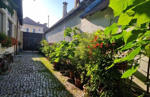 Vladeni Apartment | Exceptional Family Retreat at Apart.5 in Cristian Center