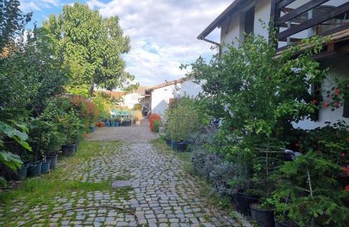 Vladeni Apartment | Exceptional Family Retreat at Apart.5 in Cristian Center