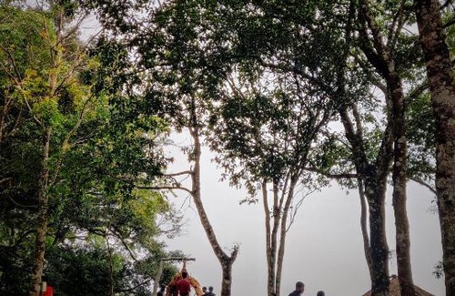 Suryanelli Other | Welcome to Munnar iwa: Perfect for Family Getaways