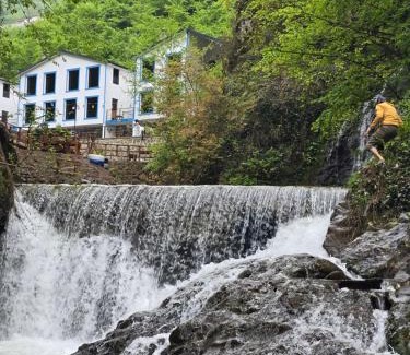Trabzon Hotel | Gulube Tatil Köyü: Guest Rated 9.8, Pet-Friendly Retreat