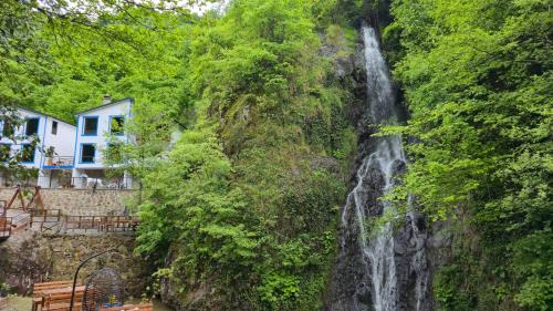 Trabzon Hotel | Gulube Tatil Köyü: Guest Rated 9.8, Pet-Friendly Retreat